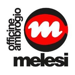 Melesi