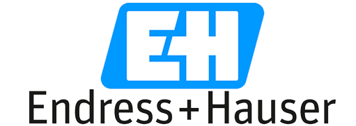 Endress+Hauser